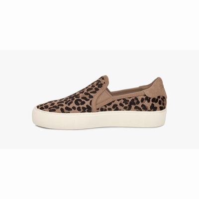 Tenis UGG Jass Exotic Mulher Marrom/Pretas | PT-KZTVN